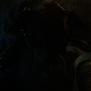 Meet your Posher, Dianne